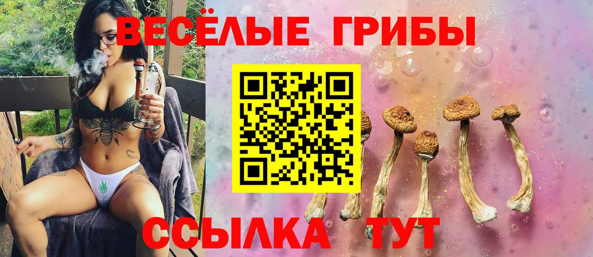 Ишимбай  Галлюциногенные грибы Psilocybine cubensis  Галлюциногенные грибы ЛСД  Вход с VPN 
