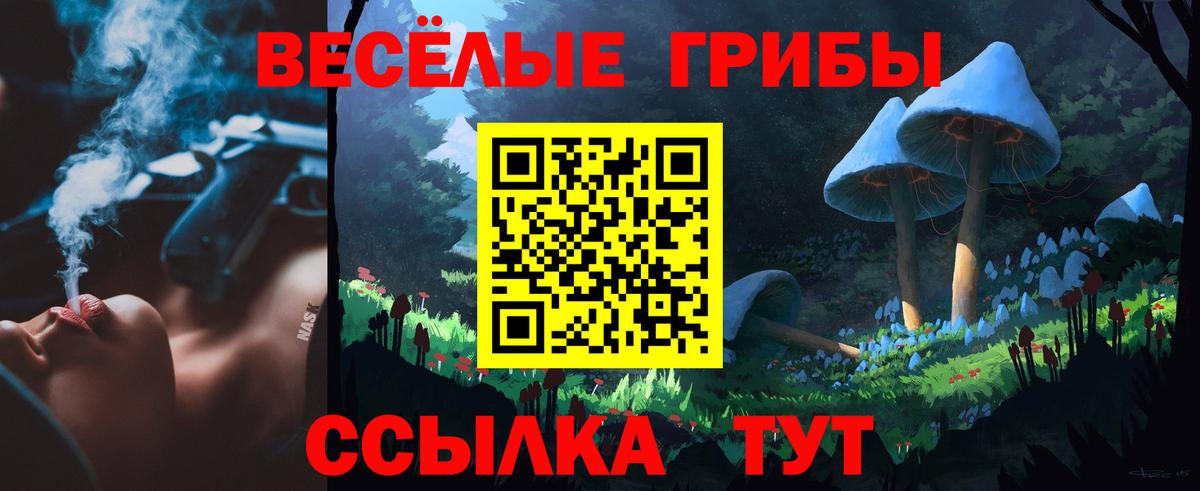 Галлюциногенные грибы GOLDEN TEACHER Ишимбай